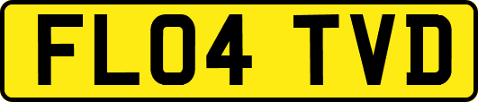 FL04TVD