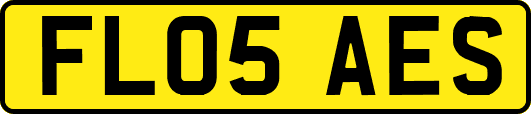 FL05AES