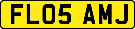 FL05AMJ