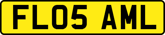 FL05AML