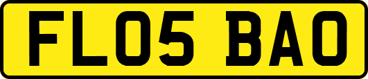 FL05BAO