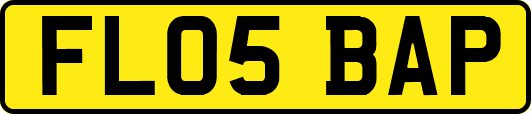FL05BAP