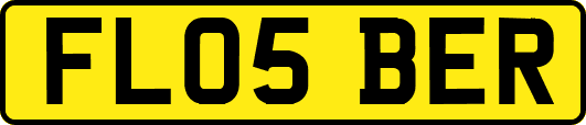 FL05BER