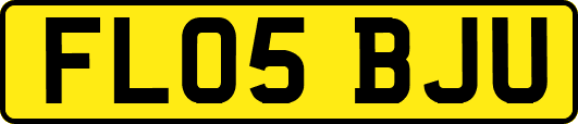 FL05BJU