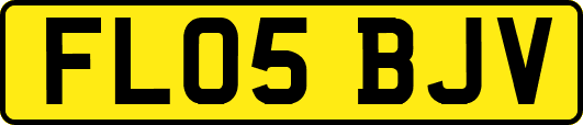 FL05BJV
