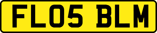 FL05BLM