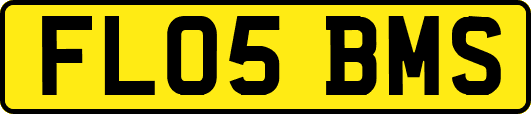 FL05BMS