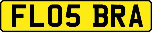 FL05BRA