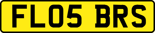 FL05BRS