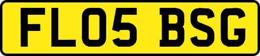 FL05BSG