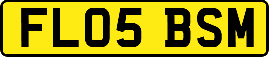 FL05BSM