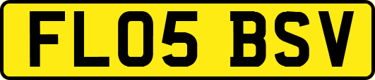 FL05BSV