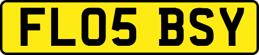 FL05BSY