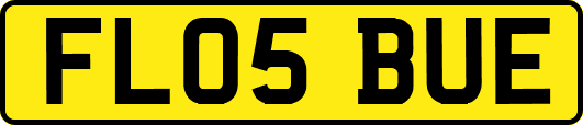 FL05BUE