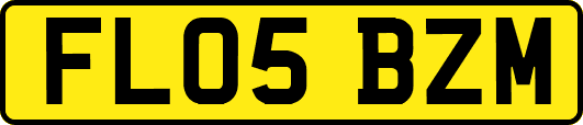 FL05BZM