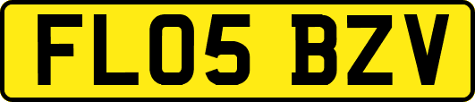 FL05BZV