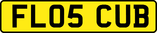 FL05CUB