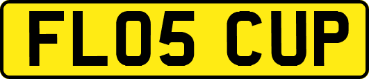 FL05CUP
