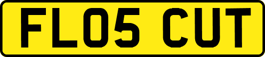 FL05CUT