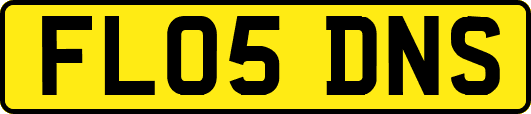 FL05DNS