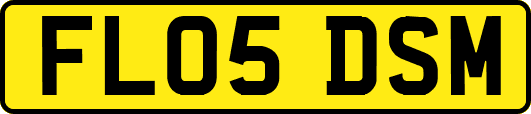 FL05DSM