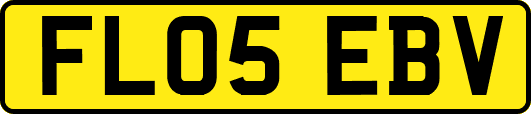 FL05EBV