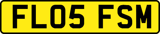FL05FSM