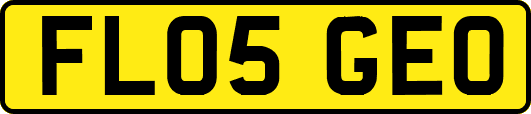 FL05GEO