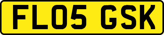FL05GSK