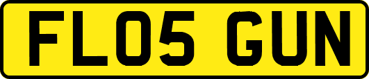 FL05GUN