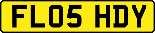 FL05HDY