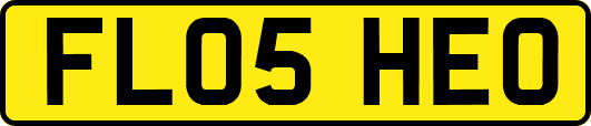 FL05HEO