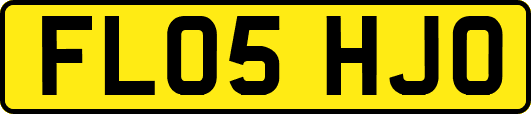 FL05HJO