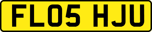FL05HJU