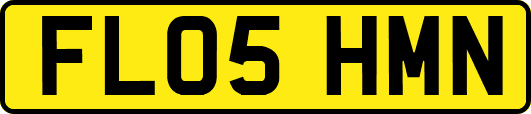 FL05HMN