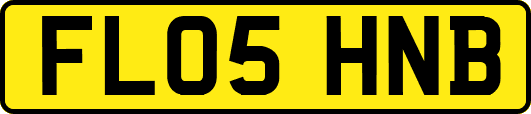 FL05HNB