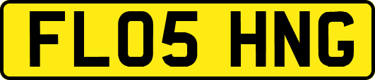 FL05HNG