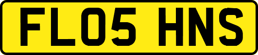 FL05HNS