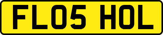 FL05HOL
