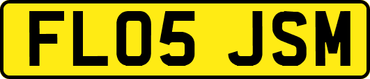 FL05JSM