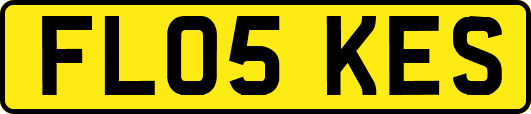FL05KES