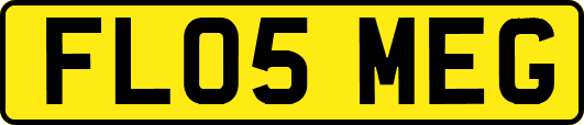 FL05MEG