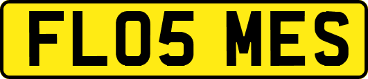 FL05MES