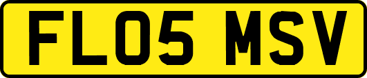 FL05MSV