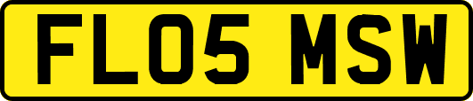 FL05MSW