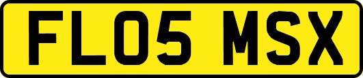 FL05MSX