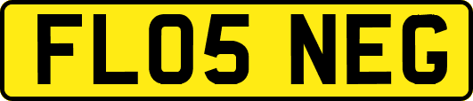 FL05NEG
