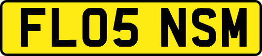 FL05NSM