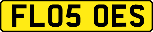 FL05OES