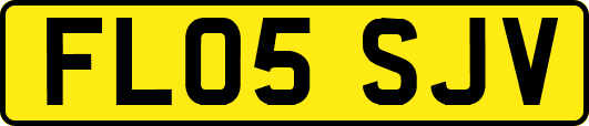 FL05SJV